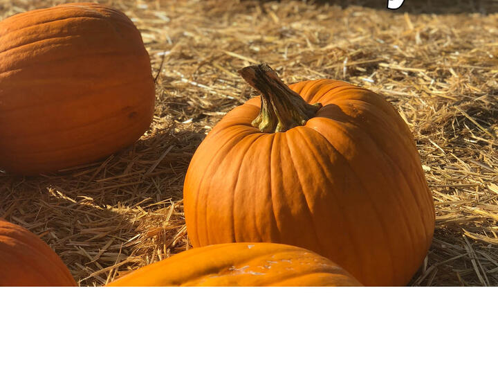 October 11 is Columbus Day and a State Holiday.
