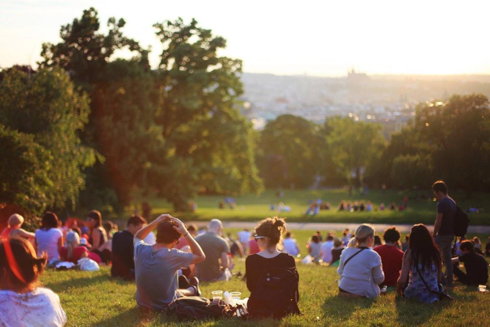 Large group of people sit outside in a sloping park with trees and grass.