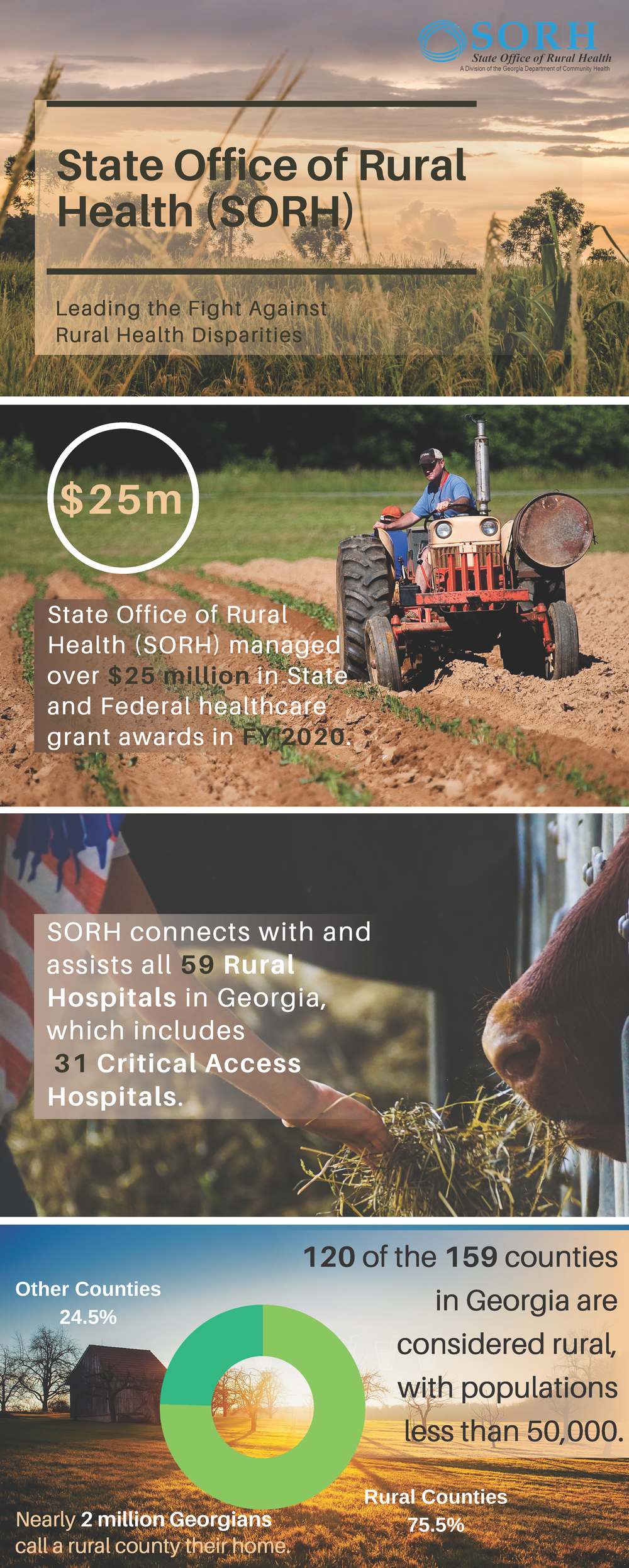 Infographic showing 2020 statistics about the Georgia State Office of Rural Health.
