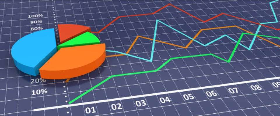 Pie Chart Graph