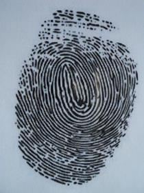 Georgia Criminal Background Check System (GCHEXS) finger print.jpg